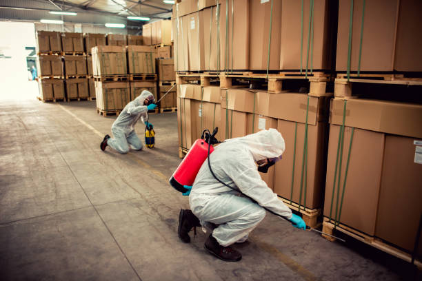 Best Affordable Pest Control Services  in Bethany, IL