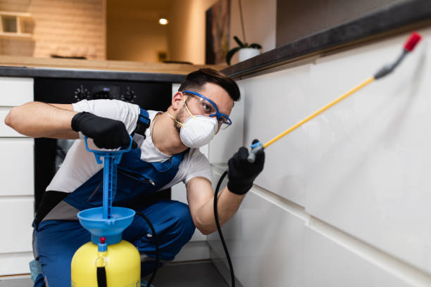 Best Emergency Pest Control  in Bethany, IL