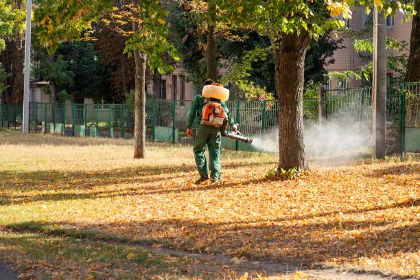 Best Bird Control  in Bethany, IL