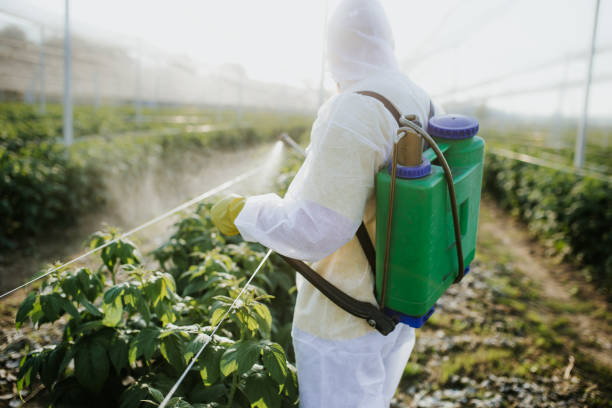Best Best Pest Control Companies  in Bethany, IL